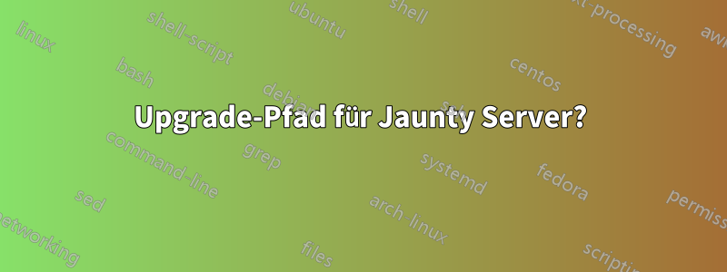 Upgrade-Pfad für Jaunty Server?