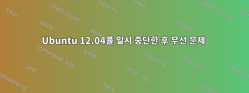 Ubuntu 12.04를 일시 중단한 후 무선 문제