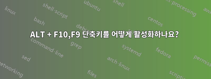 ALT + F10,F9 단축키를 어떻게 활성화하나요?