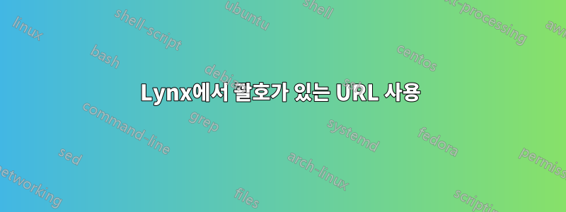 Lynx에서 괄호가 있는 URL 사용