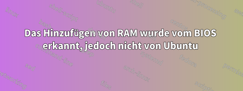Das Hinzufügen von RAM wurde vom BIOS erkannt, jedoch nicht von Ubuntu