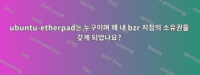ubuntu-etherpad는 누구이며 왜 내 bzr 지점의 소유권을 갖게 되었나요?