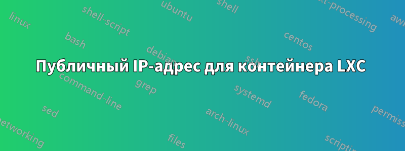 Публичный IP-адрес для контейнера LXC