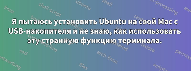 Я пытаюсь установить Ubuntu на свой Mac с USB-накопителя и не знаю, как использовать эту странную функцию терминала.