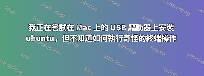 我正在嘗試在 Mac 上的 USB 驅動器上安裝 ubuntu，但不知道如何執行奇怪的終端操作