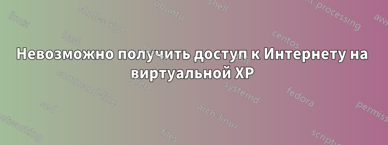 Невозможно получить доступ к Интернету на виртуальной XP