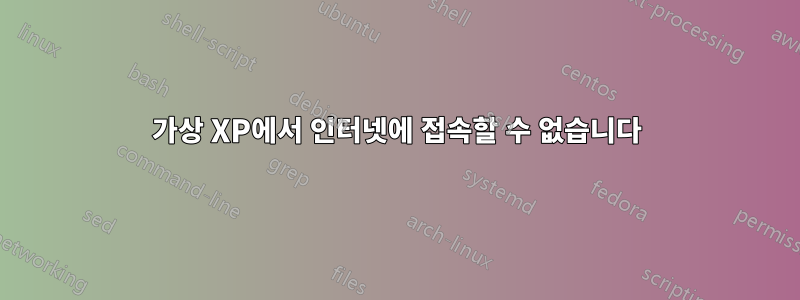 가상 XP에서 인터넷에 접속할 수 없습니다
