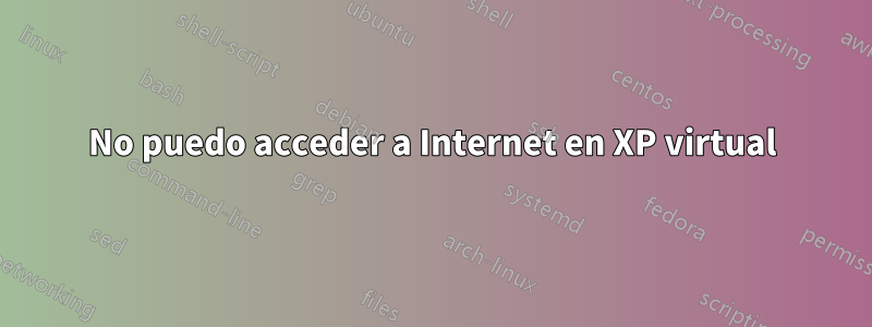 No puedo acceder a Internet en XP virtual
