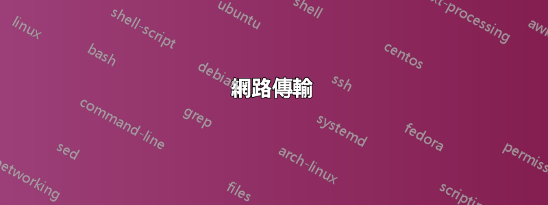 網路傳輸