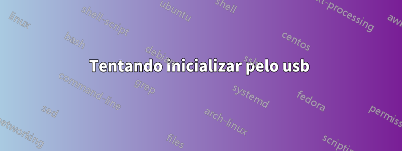 Tentando inicializar pelo usb