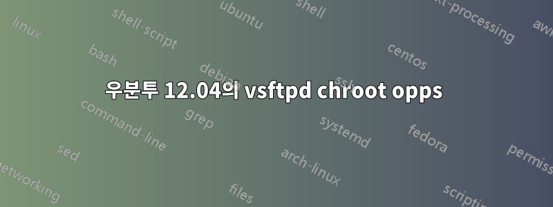 우분투 12.04의 vsftpd chroot opps