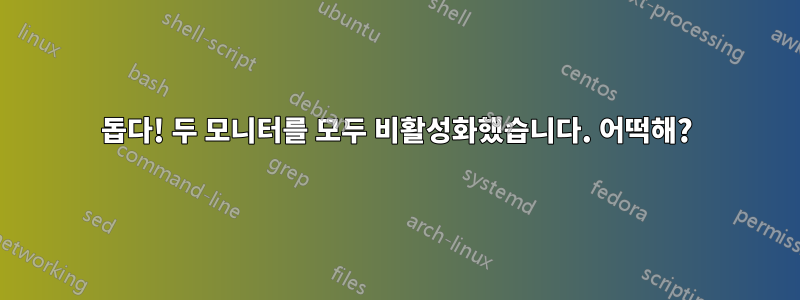 돕다! 두 모니터를 모두 비활성화했습니다. 어떡해?