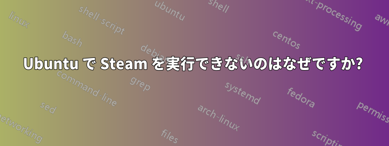 Ubuntu で Steam を実行できないのはなぜですか?