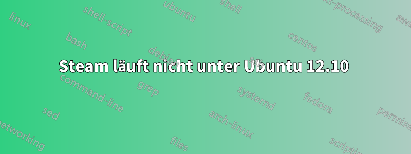 Steam läuft nicht unter Ubuntu 12.10