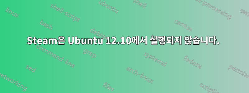 Steam은 Ubuntu 12.10에서 실행되지 않습니다.