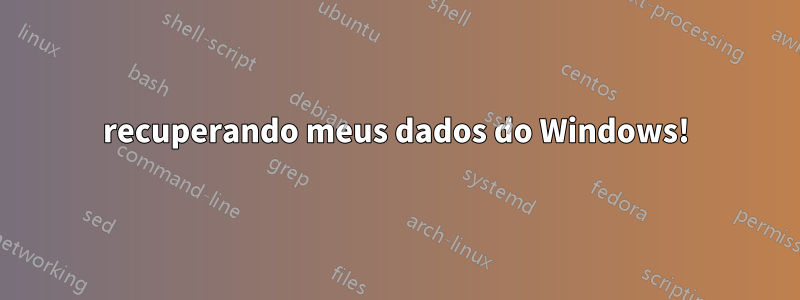 recuperando meus dados do Windows!