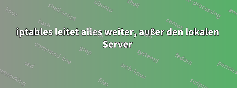 iptables leitet alles weiter, außer den lokalen Server