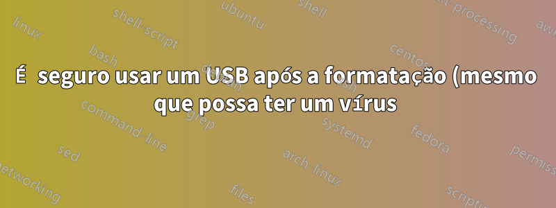 É seguro usar um USB após a formatação (mesmo que possa ter um vírus)