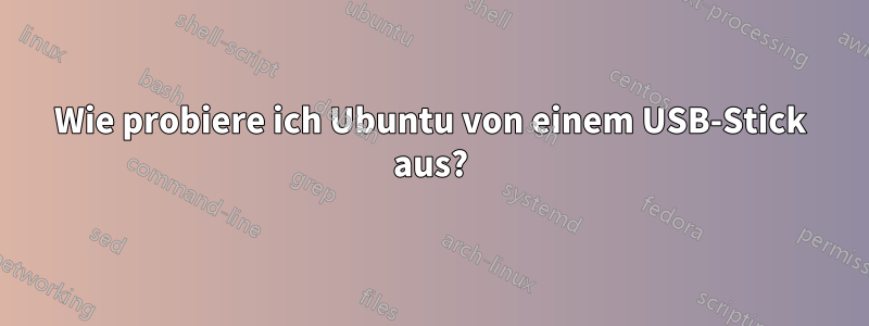 Wie probiere ich Ubuntu von einem USB-Stick aus?