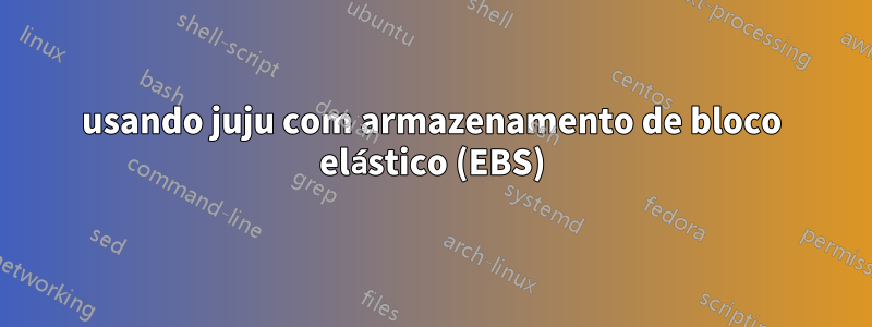 usando juju com armazenamento de bloco elástico (EBS)