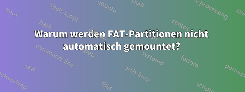 Warum werden FAT-Partitionen nicht automatisch gemountet?