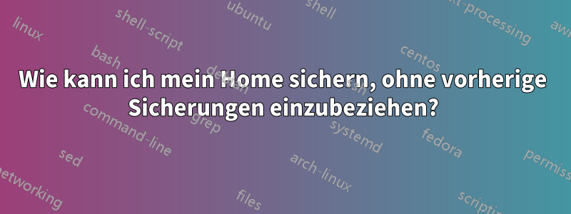 Wie kann ich mein Home sichern, ohne vorherige Sicherungen einzubeziehen?