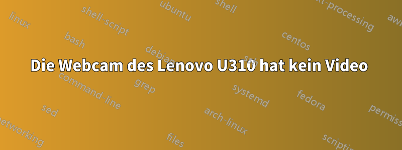 Die Webcam des Lenovo U310 hat kein Video