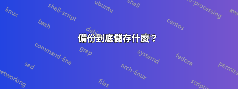 備份到底儲存什麼？