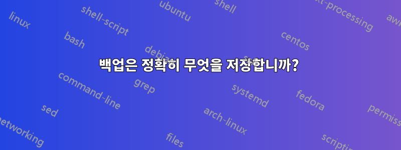 백업은 정확히 무엇을 저장합니까?