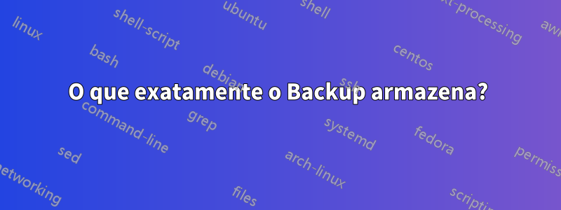 O que exatamente o Backup armazena?