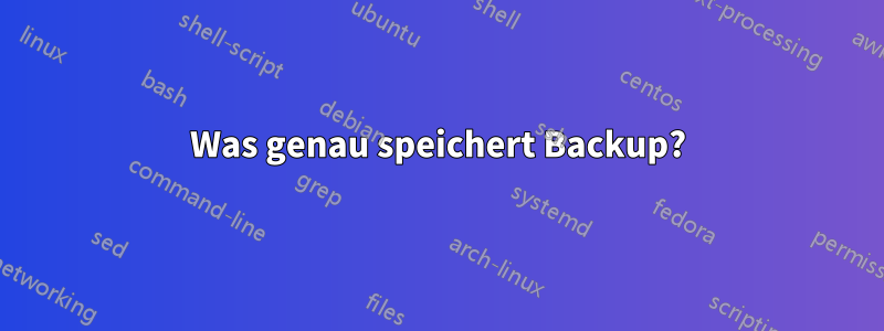 Was genau speichert Backup?