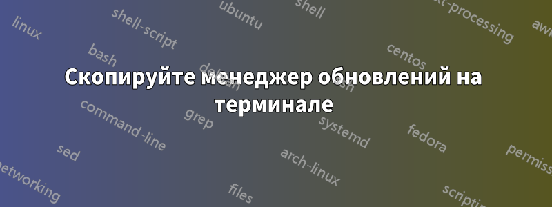 Скопируйте менеджер обновлений на терминале