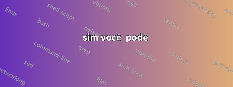 sim você pode