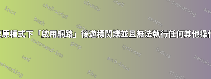 在復原模式下「啟用網路」後遊標閃爍並且無法執行任何其他操作。