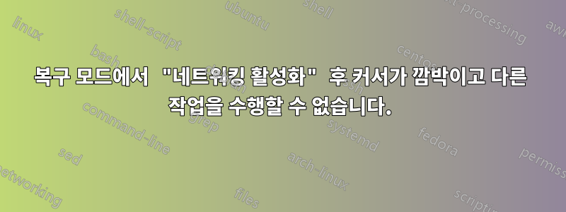 복구 모드에서 "네트워킹 활성화" 후 커서가 깜박이고 다른 작업을 수행할 수 없습니다.