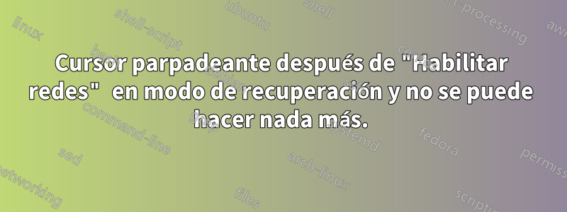 Cursor parpadeante después de "Habilitar redes" en modo de recuperación y no se puede hacer nada más.