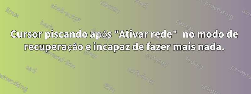 Cursor piscando após "Ativar rede" no modo de recuperação e incapaz de fazer mais nada.