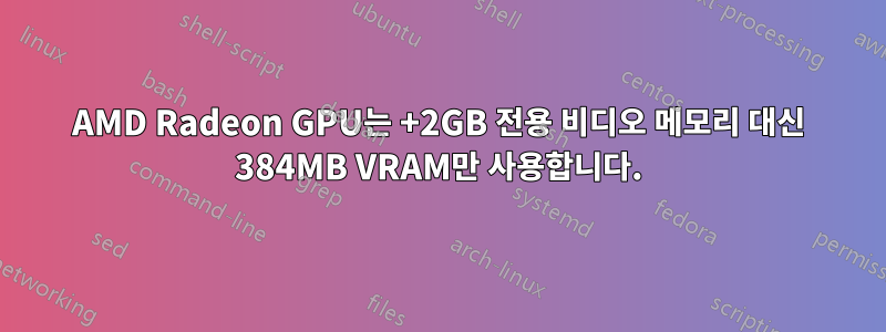 AMD Radeon GPU는 +2GB 전용 비디오 메모리 대신 384MB VRAM만 사용합니다.