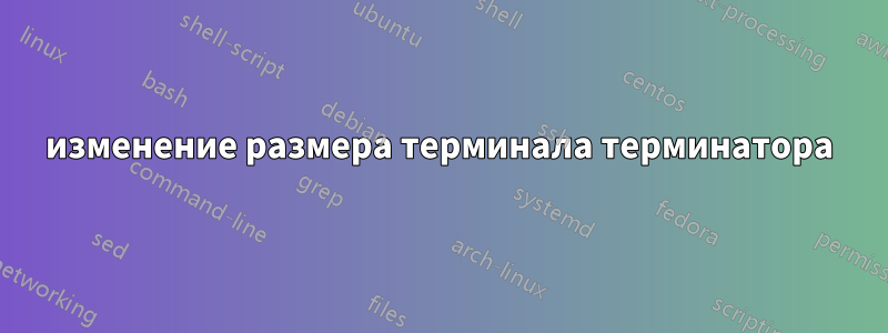 изменение размера терминала терминатора