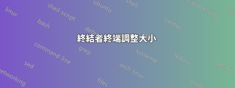 終結者終端調整大小