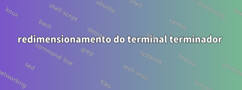 redimensionamento do terminal terminador