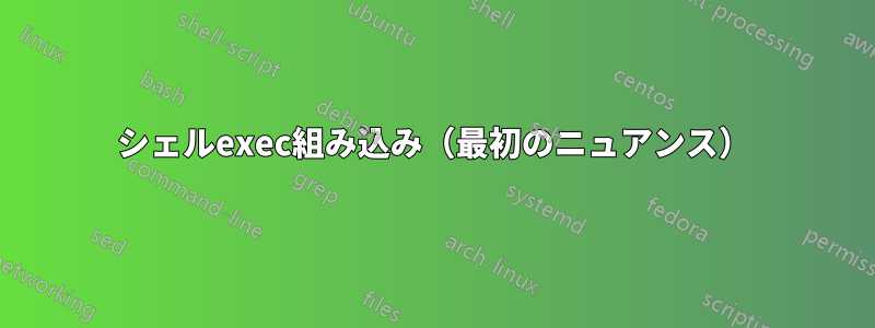 シェルexec組み込み（最初のニュアンス）