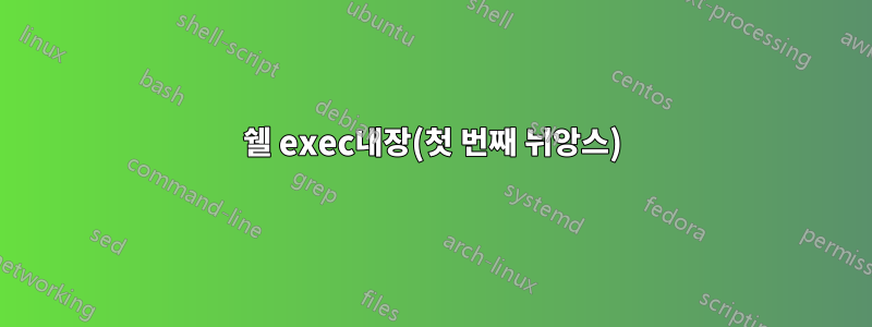 쉘 exec내장(첫 번째 뉘앙스)