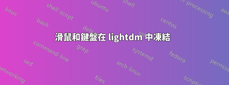 滑鼠和鍵盤在 lightdm 中凍結 