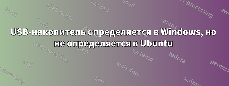 USB-накопитель определяется в Windows, но не определяется в Ubuntu