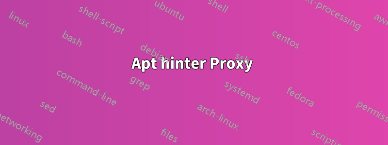 Apt hinter Proxy