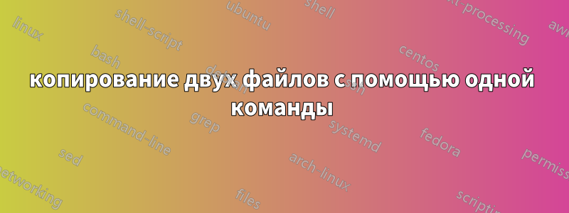 копирование двух файлов с помощью одной команды