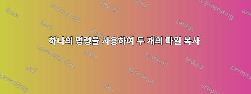 하나의 명령을 사용하여 두 개의 파일 복사