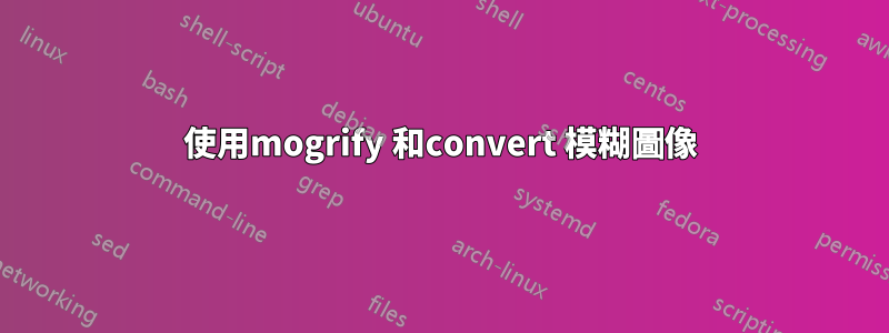 使用mogrify 和convert 模糊圖像