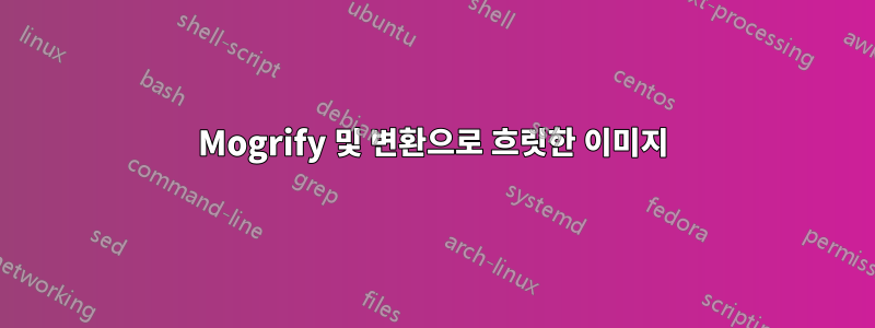 Mogrify 및 변환으로 흐릿한 이미지